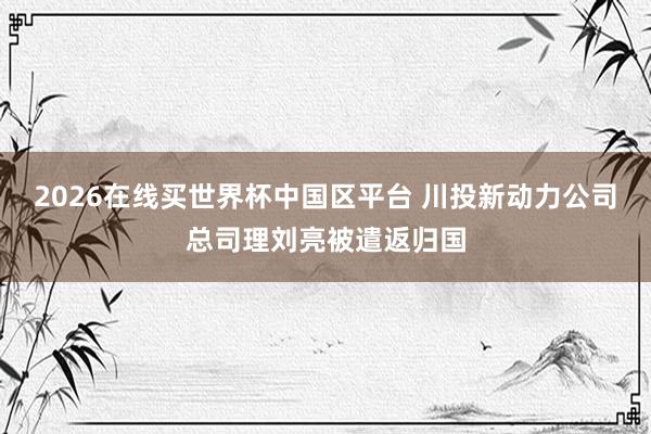 2026在线买世界杯中国区平台 川投新动力公司总司理刘亮被遣返归国