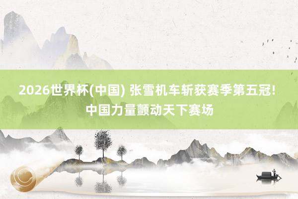 2026世界杯(中国) 张雪机车斩获赛季第五冠! 中国力量颤动天下赛场