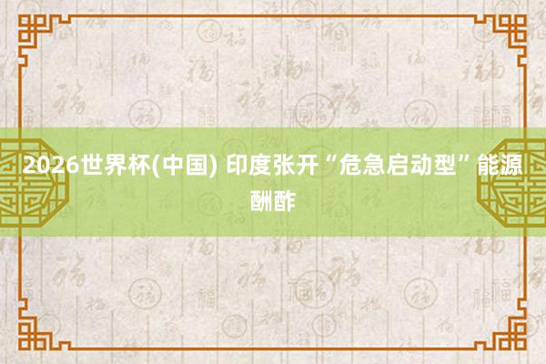 2026世界杯(中国) 印度张开“危急启动型”能源酬酢