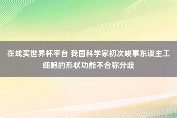 在线买世界杯平台 我国科学家初次竣事东谈主工细胞的形状功能不合称分歧