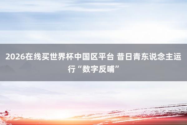 2026在线买世界杯中国区平台 昔日青东说念主运行“数字反哺”
