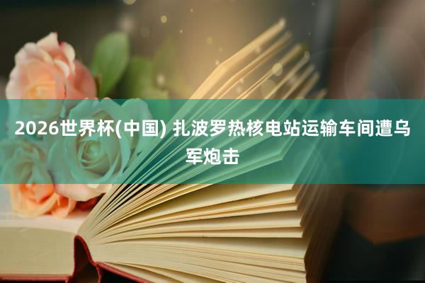 2026世界杯(中国) 扎波罗热核电站运输车间遭乌军炮击