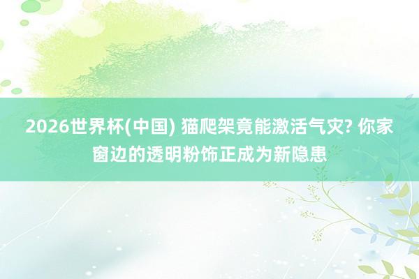 2026世界杯(中国) 猫爬架竟能激活气灾? 你家窗边的透明粉饰正成为新隐患