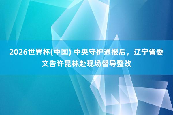 2026世界杯(中国) 中央守护通报后，辽宁省委文告许昆林赴现场督导整改