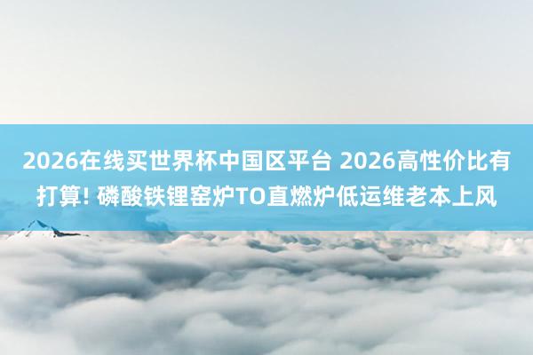 2026在线买世界杯中国区平台 2026高性价比有打算! 磷酸铁锂窑炉TO直燃炉低运维老本上风