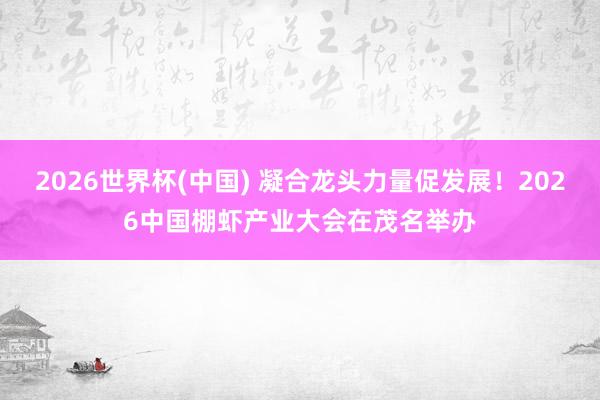 2026世界杯(中国) 凝合龙头力量促发展！2026中国棚虾产业大会在茂名举办