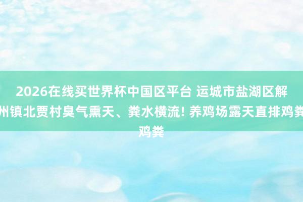 2026在线买世界杯中国区平台 运城市盐湖区解州镇北贾村臭气熏天、粪水横流! 养鸡场露天直排鸡粪