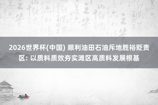 2026世界杯(中国) 顺利油田石油斥地胜裕贬责区: 以质料质效夯实滩区高质料发展根基