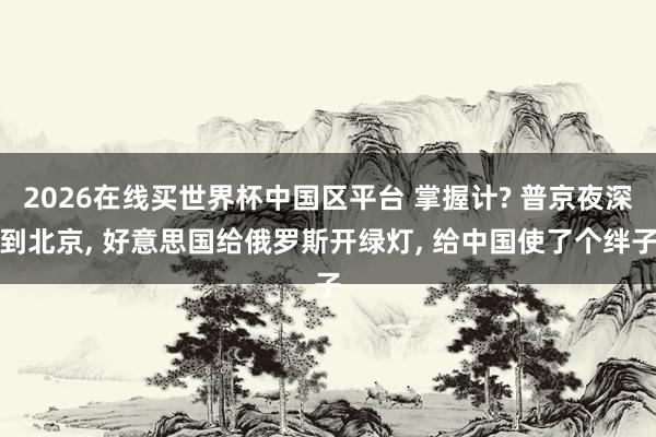 2026在线买世界杯中国区平台 掌握计? 普京夜深到北京， 好意思国给俄罗斯开绿灯， 给中国使了个绊子