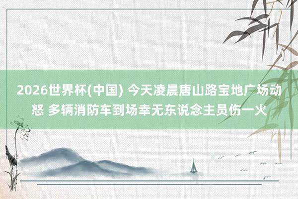 2026世界杯(中国) 今天凌晨唐山路宝地广场动怒 多辆消防车到场幸无东说念主员伤一火