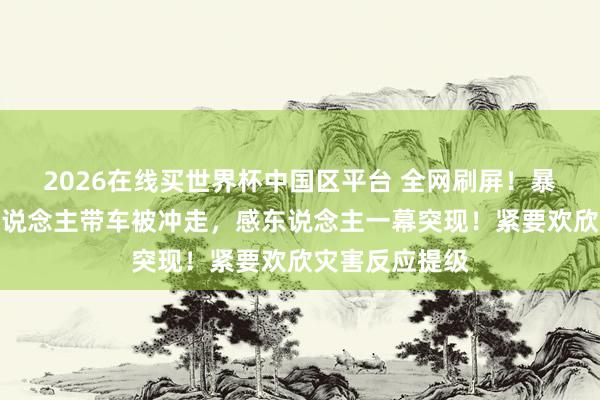 2026在线买世界杯中国区平台 全网刷屏！暴雨天男孩连东说念主带车被冲走，感东说念主一幕突现！紧要欢欣灾害反应提级