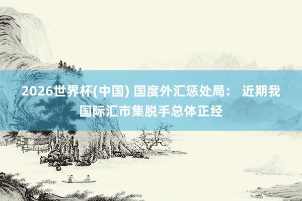 2026世界杯(中国) 国度外汇惩处局： 近期我国际汇市集脱手总体正经