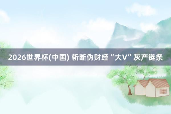 2026世界杯(中国) 斩断伪财经“大V”灰产链条