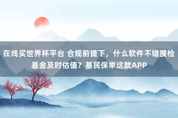 在线买世界杯平台 合规前提下，什么软件不错搜检基金及时估值？基民保举这款APP