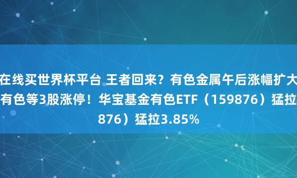 在线买世界杯平台 王者回来？有色金属午后涨幅扩大，铜陵有色等3股涨停！华宝基金有色ETF（159876）猛拉3.85%