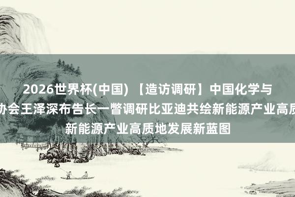 2026世界杯(中国) 【造访调研】中国化学与物理电源行业协会王泽深布告长一瞥调研比亚迪共绘新能源产业高质地发展新蓝图
