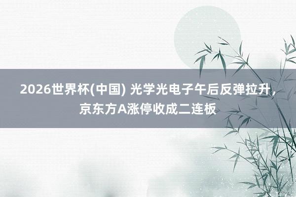 2026世界杯(中国) 光学光电子午后反弹拉升，京东方A涨停收成二连板