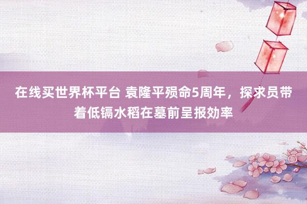 在线买世界杯平台 袁隆平殒命5周年，探求员带着低镉水稻在墓前呈报効率