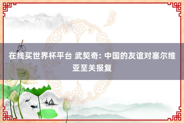 在线买世界杯平台 武契奇: 中国的友谊对塞尔维亚至关报复