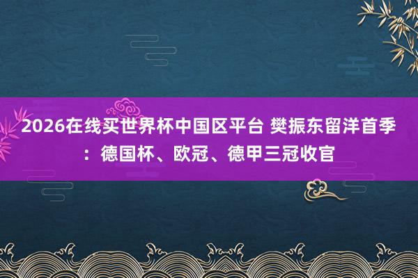 2026在线买世界杯中国区平台 樊振东留洋首季：德国杯、欧冠、德甲三冠收官