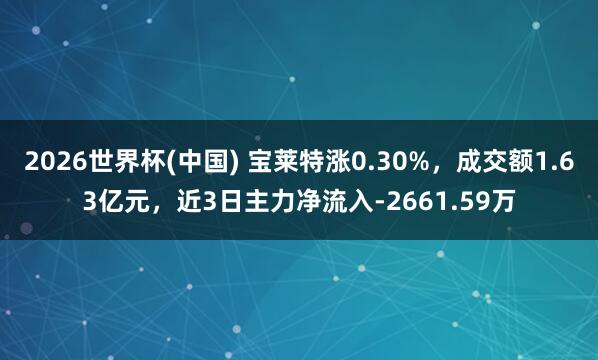 2026世界杯(中国) 宝莱特涨0.30%，成交额1.63亿