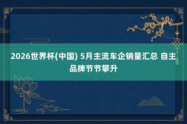 2026世界杯(中国) 5月主流车企销量汇总 自主品牌节节攀升