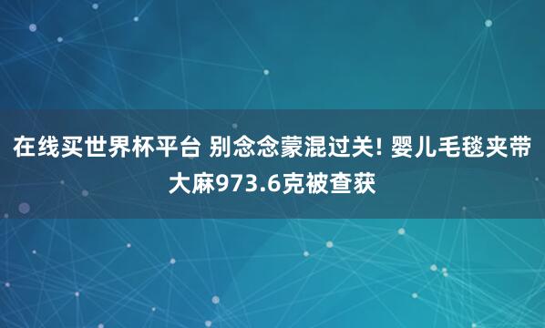 在线买世界杯平台 别念念蒙混过关! 婴儿毛毯夹带大麻973.6克被查获