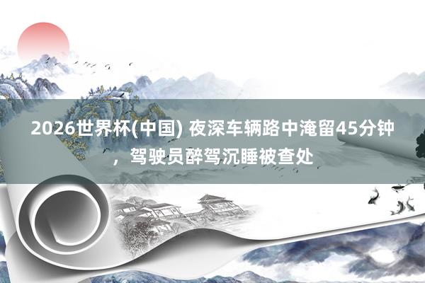 2026世界杯(中国) 夜深车辆路中淹留45分钟,驾驶员醉驾沉睡被查处