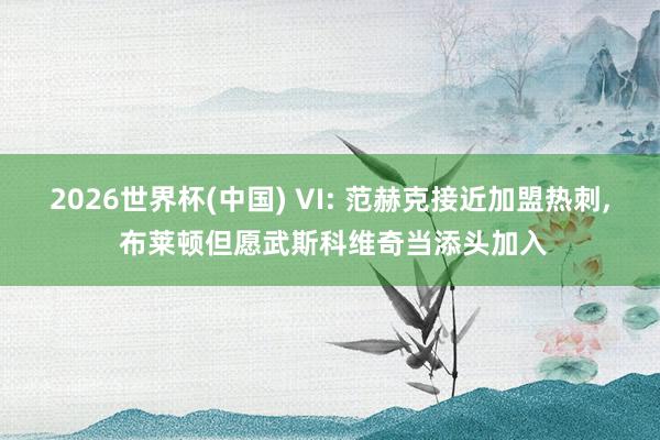 2026世界杯(中国) VI: 范赫克接近加盟热刺， 布莱顿但愿武斯科维奇当添头加入