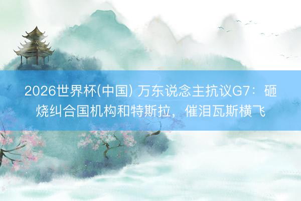 2026世界杯(中国) 万东说念主抗议G7：砸烧纠合国机构和特斯拉，催泪瓦斯横飞