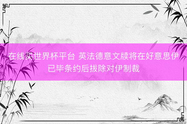 在线买世界杯平台 英法德意文牍将在好意思伊已毕条约后拔除对伊制裁
