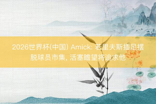 2026世界杯(中国) Amick: 若里夫斯插足摆脱球员市集, 活塞瞻望将追求他